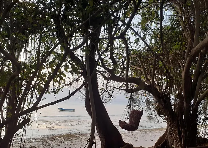 Gecko Nature Lodge Home Of Swahili Divers The Best Dive Center And Famous Gecko Restaurant